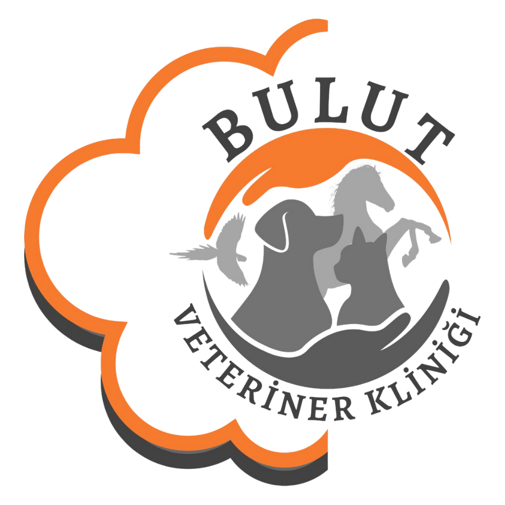 Bulut Veteriner Kliniği logosu